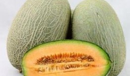 明浩吃哈密瓜,明浩畅享哈密瓜美味时光