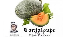 斗牛蜜瓜如何吃,解锁夏日清新美味