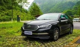 吃瓜帕萨特,吃瓜群众眼中的汽车传奇