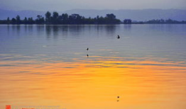 西昌邛海吃瓜视频,一场吃瓜盛宴的欢乐时光