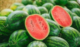吃瓜不能跟什么东西吃,揭秘哪些食物与吃瓜相克
