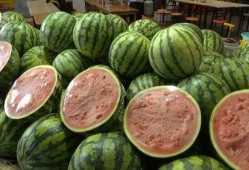 今年吃的几个瓜,笑料百出，泪点满满